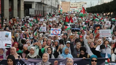 بعد اتفاق غزة.. ناشطة فلسطينية تستفز المغاربة وحماس تتجاهل شكر المملكة